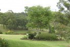 Ivanhoe Northresidential-landscaping-40.jpg; ?>